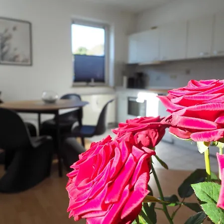 Haustierfrei - Glasfaser - Meerfarbig -terrasse Mit Strandkorb Oder Balkon - Parkplatz - Fahrradschuppen - Waschtrockner - E-ladesaeule- Ruhig Und Zentral - Nichtraucher * Zingst