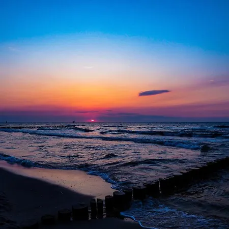 Ferienwohnungen Meerfarbig Zingst - Haustierfrei -Terrasse Mit Strandkorb Oder Balkon - E-Ladesaeule - Parkplatz - Wlan - Fahrradschuppen - Waschtrockner - Ruhig Und Zentral - Nichtraucher Apartment *