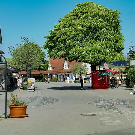 Ferienwohnungen Meerfarbig Zingst - Haustierfrei -Terrasse Mit Strandkorb Oder Balkon - E-Ladesaeule - Parkplatz - Wlan - Fahrradschuppen - Waschtrockner - Ruhig Und Zentral - Nichtraucher * Zingst
