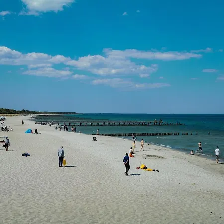 Apartment Ferienwohnungen Meerfarbig Zingst - Haustierfrei -Terrasse Mit Strandkorb Oder Balkon - E-Ladesaeule - Parkplatz - Wlan - Fahrradschuppen - Waschtrockner - Ruhig Und Zentral - Nichtraucher